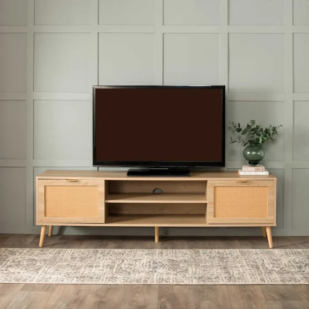DEWI 2 DOOR TV UNIT - Image 2