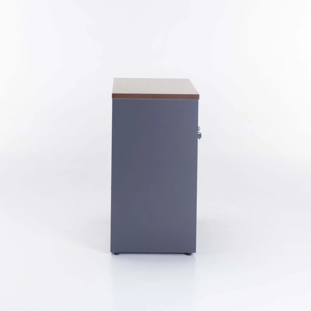 AXA 2 DOOR CABINET - Image 3